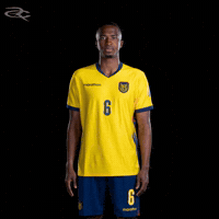Fifa World Cup Ecuador GIF by Respective