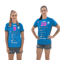 Handball Slovenia Sticker by RK Krim