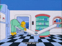 homer simpson GIF