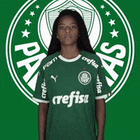Palmeiras gol palmeiras comemoracao avanti GIF