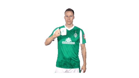 Niklas Moisander Bundesliga Sticker by SV Werder Bremen