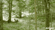Japan Snow GIF by Array