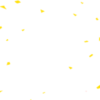 Carnavalswift Sticker by Loja Swift