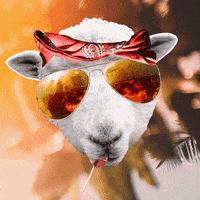 Turn Up Yes GIF