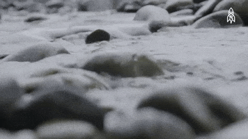 greatbigstory nature water rock calm GIF