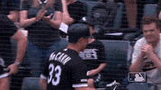 mlb run home james mccann GIF