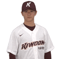 Nod Sticker by Kiwoom Heroes Baseball Club