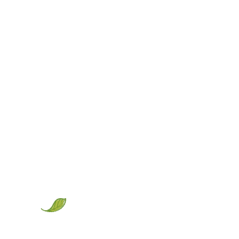 Leaf Sticker by Koll-Living
