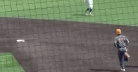 Super Regional Baseball GIF by NCAA Championships