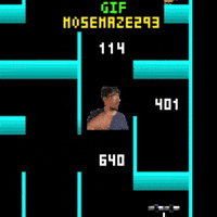 Maze 293 Mose GIF