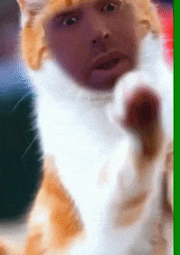 Kyleletmein GIF by hero0fwar