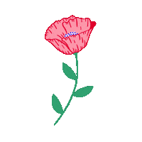 Pink Flower Sticker