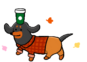 Happy Sausage Dog Sticker by Stefanie Shank