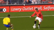 Ronaldo El Bicho GIF
