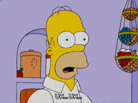 not knowing homer simpson GIF