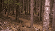 ctv amazing race tarc the amazing race canada #amazingracecanada GIF