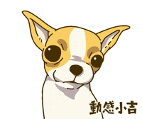 Animation Dog GIF