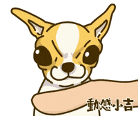 Animation Dog GIF