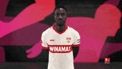 Vfb Stuttgart Smile GIF by Bundesliga