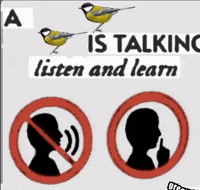 Hermitwaveslistener GIF