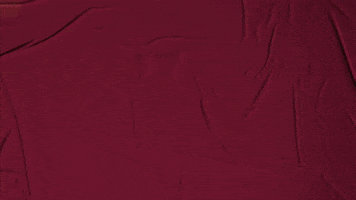 College Baseball GIF by Pearl River Athletics