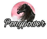 Pony Sticker