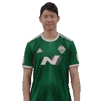 jeonbuk1994 전북현대 jeonbuk 전북 jeonbukhyundai Sticker