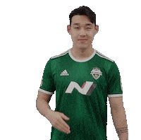 jeonbuk1994 전북현대 jeonbuk 전북 jeonbukhyundai Sticker