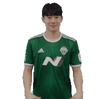 jeonbuk1994 하트 전북현대 jeonbuk 전북 Sticker