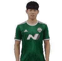 jeonbuk1994 전북현대 jeonbuk 전북 jeonbukhyundai Sticker
