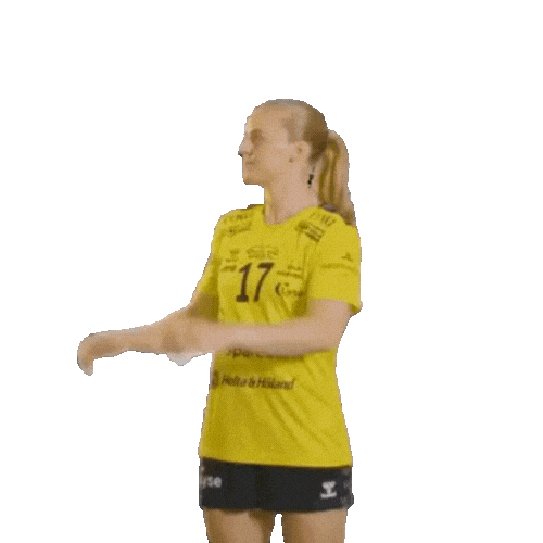 Rema1000Ligaen Sticker by Norsk Topphåndball