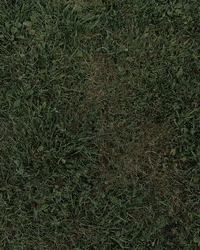 Droning Mavic Pro GIF by Jocqua