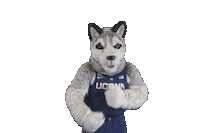 brush dirt Sticker by UConn Huskies