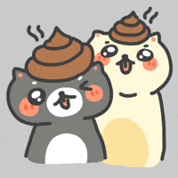 Poop Cute Cat GIF