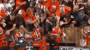 2018 nfl browns win GIF by NFL