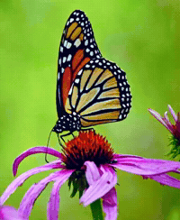 Video Picture GIF by GT8Studios