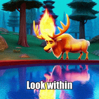Fire Glow GIF by elkijahspark