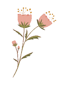 laurajoydesign flower flowerpower flowerillustration ljd Sticker