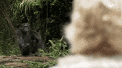 Quiero Mercedes Mila GIF by Movistar+