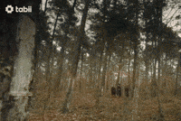 Tozkoparan Iskender GIF