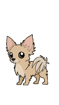 knizkrafarna dog puppy pet chihuaha Sticker