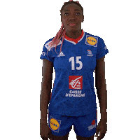 Ffhandball Sticker by Fédération Française de Handball