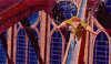 hunchback of notre dame GIF