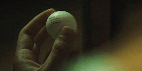 Dream Big Timothee Chalamet GIF by A24