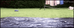 like a boss win GIF