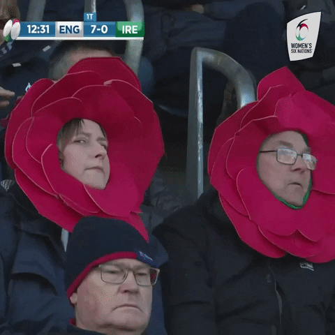 Womens6Nations giphyupload fan fans womens GIF
