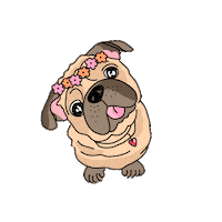 happy fun Sticker by Ivo Adventures