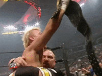 wwe sports wwe wrestling summerslam GIF