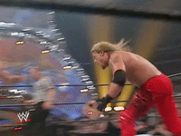 wwe sports wwe wrestling summerslam GIF