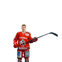 Goal Win Sticker by Eisbären Regensburg